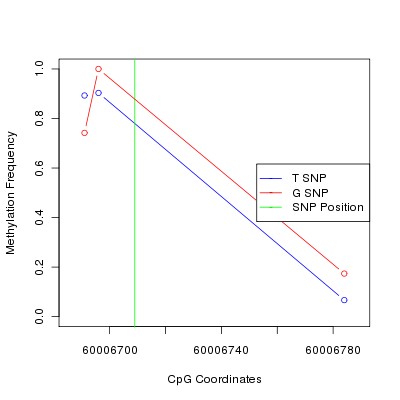 Allele Specific Methylation Frequency Diagram for chr19 60006709 SNP.