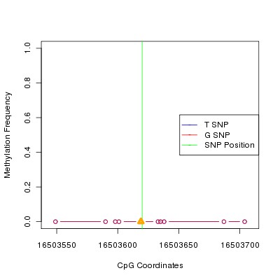 Allele Specific Methylation Frequency Diagram for chr20 16503620 SNP.