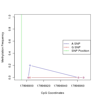 Allele Specific Methylation Frequency Diagram for chr20 17896894 SNP.