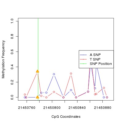 Allele Specific Methylation Frequency Diagram for chr20 21450778 SNP.