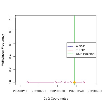 Allele Specific Methylation Frequency Diagram for chr20 23290239 SNP.