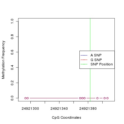 Allele Specific Methylation Frequency Diagram for chr20 24921383 SNP.