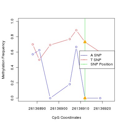 Allele Specific Methylation Frequency Diagram for chr20 26136912 SNP.