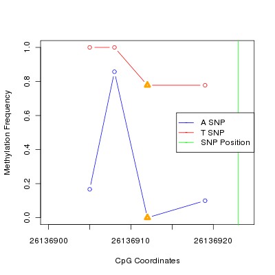 Allele Specific Methylation Frequency Diagram for chr20 26136923 SNP.