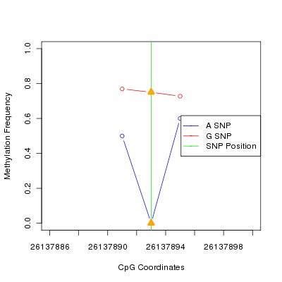 Allele Specific Methylation Frequency Diagram for chr20 26137893 SNP.