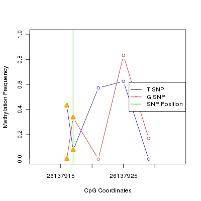 Allele Specific Methylation Frequency Diagram for chr20 26137917 SNP.