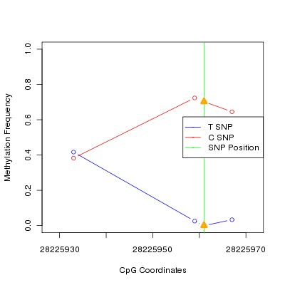 Allele Specific Methylation Frequency Diagram for chr20 28225961 SNP.