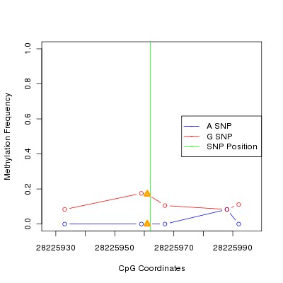 Allele Specific Methylation Frequency Diagram for chr20 28225962 SNP.