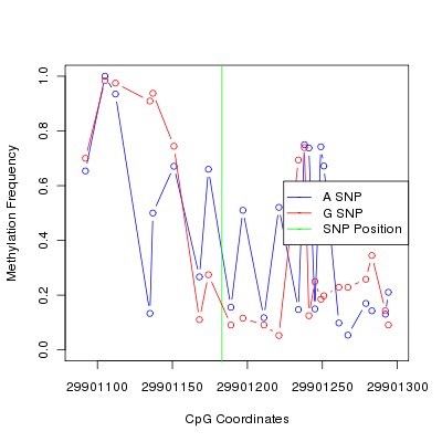 Allele Specific Methylation Frequency Diagram for chr20 29901183 SNP.