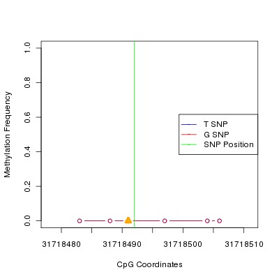 Allele Specific Methylation Frequency Diagram for chr20 31718492 SNP.