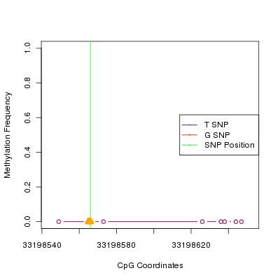 Allele Specific Methylation Frequency Diagram for chr20 33198566 SNP.