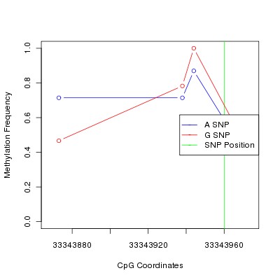 Allele Specific Methylation Frequency Diagram for chr20 33343960 SNP.