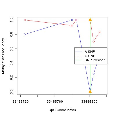 Allele Specific Methylation Frequency Diagram for chr20 33485801 SNP.