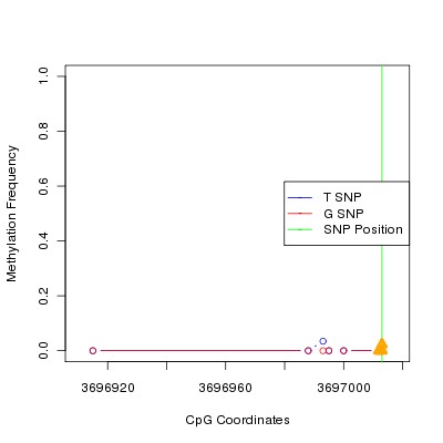 Allele Specific Methylation Frequency Diagram for chr20 3697013 SNP.