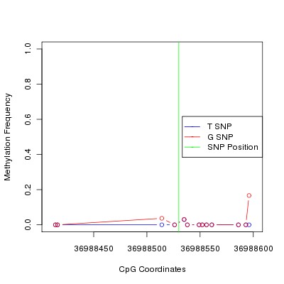 Allele Specific Methylation Frequency Diagram for chr20 36988530 SNP.