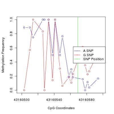Allele Specific Methylation Frequency Diagram for chr20 43160569 SNP.