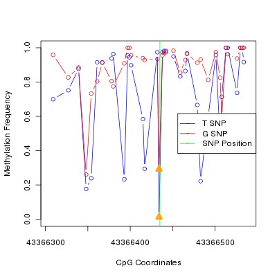 Allele Specific Methylation Frequency Diagram for chr20 43366435 SNP.