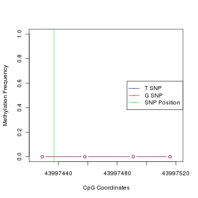 Allele Specific Methylation Frequency Diagram for chr20 43997437 SNP.