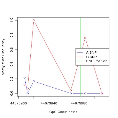 Allele Specific Methylation Frequency Diagram for chr20 44073982 SNP.