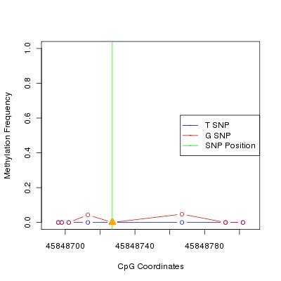 Allele Specific Methylation Frequency Diagram for chr20 45848727 SNP.