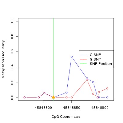 Allele Specific Methylation Frequency Diagram for chr20 45848818 SNP.