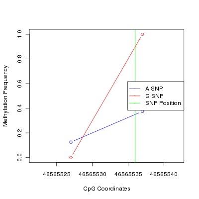 Allele Specific Methylation Frequency Diagram for chr20 46565536 SNP.