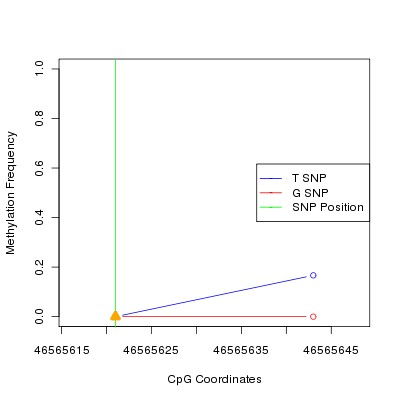 Allele Specific Methylation Frequency Diagram for chr20 46565621 SNP.