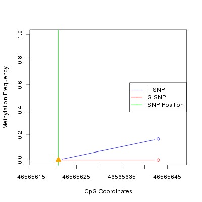 Allele Specific Methylation Frequency Diagram for chr20 46565621 SNP.