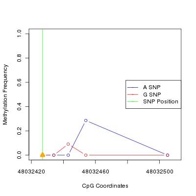 Allele Specific Methylation Frequency Diagram for chr20 48032427 SNP.