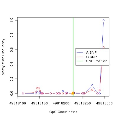 Allele Specific Methylation Frequency Diagram for chr20 49818228 SNP.