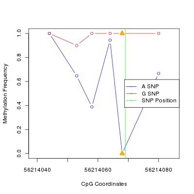 Allele Specific Methylation Frequency Diagram for chr20 56214069 SNP.