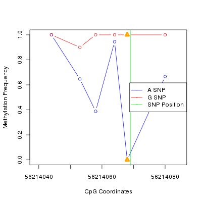 Allele Specific Methylation Frequency Diagram for chr20 56214069 SNP.