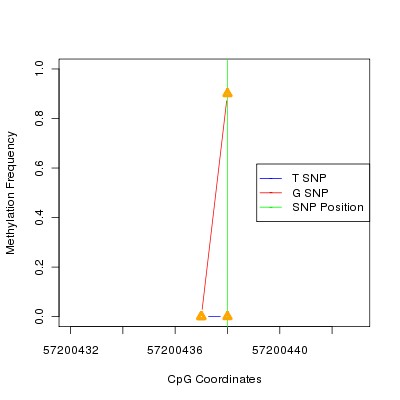 Allele Specific Methylation Frequency Diagram for chr20 57200438 SNP.