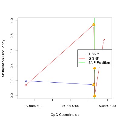 Allele Specific Methylation Frequency Diagram for chr20 59889786 SNP.