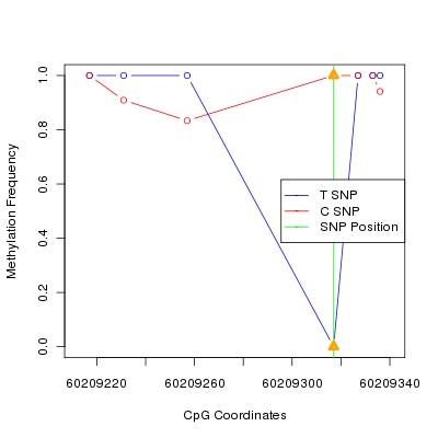 Allele Specific Methylation Frequency Diagram for chr20 60209317 SNP.