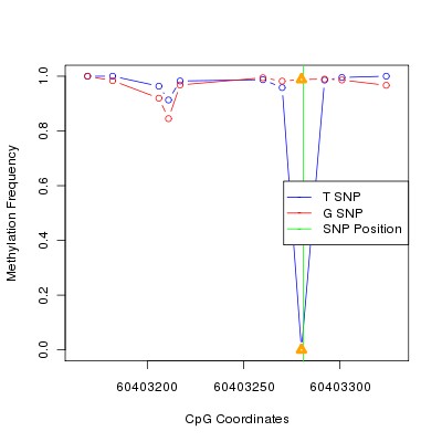 Allele Specific Methylation Frequency Diagram for chr20 60403281 SNP.