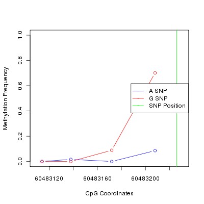 Allele Specific Methylation Frequency Diagram for chr20 60483226 SNP.