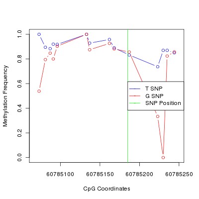 Allele Specific Methylation Frequency Diagram for chr20 60785185 SNP.