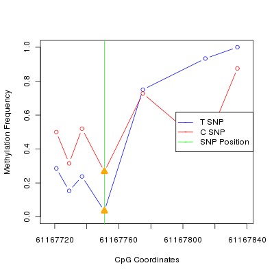 Allele Specific Methylation Frequency Diagram for chr20 61167751 SNP.