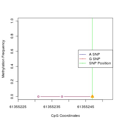 Allele Specific Methylation Frequency Diagram for chr20 61355247 SNP.