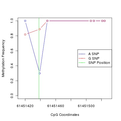 Allele Specific Methylation Frequency Diagram for chr20 61451438 SNP.