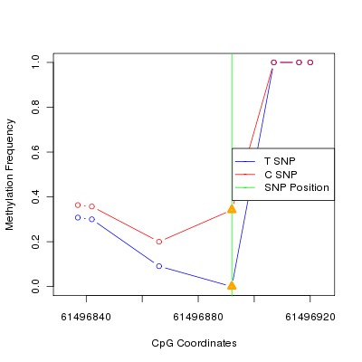 Allele Specific Methylation Frequency Diagram for chr20 61496892 SNP.