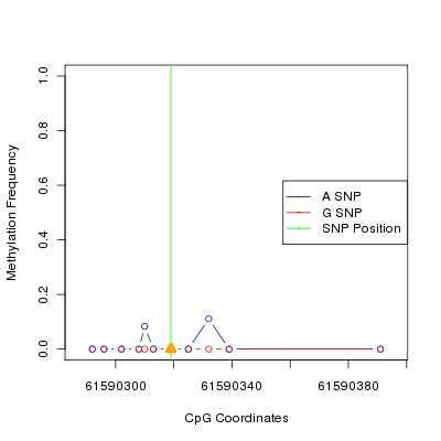 Allele Specific Methylation Frequency Diagram for chr20 61590319 SNP.