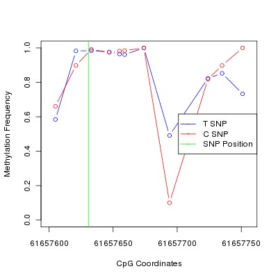 Allele Specific Methylation Frequency Diagram for chr20 61657631 SNP.