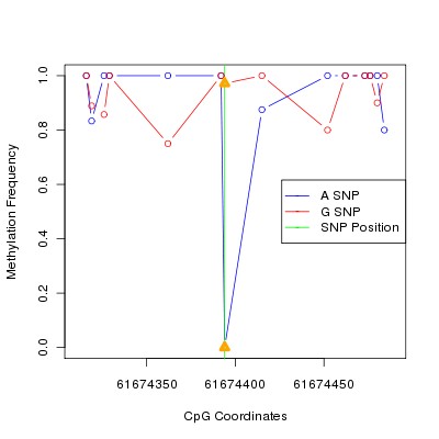 Allele Specific Methylation Frequency Diagram for chr20 61674394 SNP.