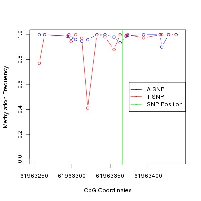 Allele Specific Methylation Frequency Diagram for chr20 61963366 SNP.