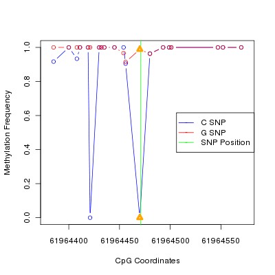 Allele Specific Methylation Frequency Diagram for chr20 61964471 SNP.