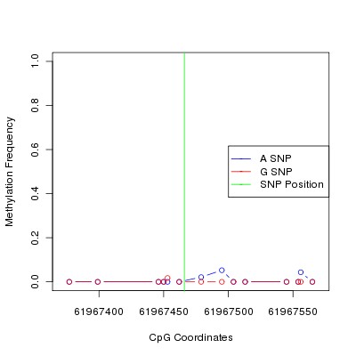 Allele Specific Methylation Frequency Diagram for chr20 61967466 SNP.