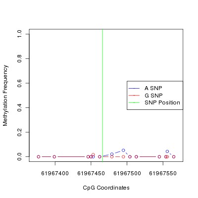 Allele Specific Methylation Frequency Diagram for chr20 61967466 SNP.