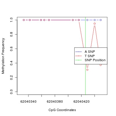 Allele Specific Methylation Frequency Diagram for chr20 62040426 SNP.